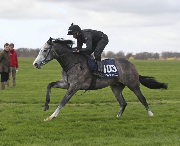 Guineas Breeze Up Sale in Newmarket