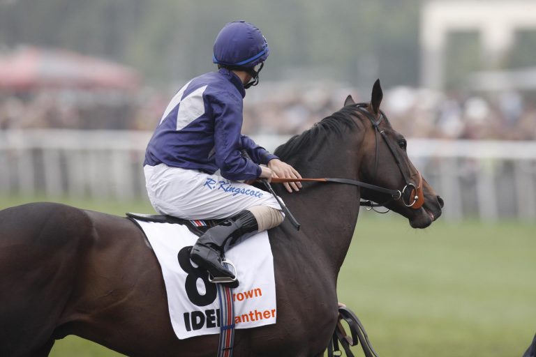 Brown Panther ist für den Carnival vorgesehen