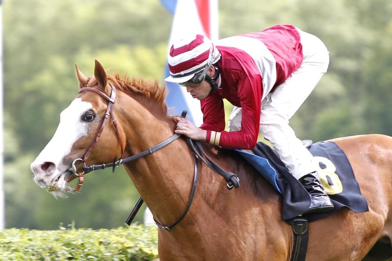 Sechser-Pack zum Leipziger Finale