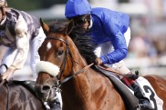 Deutscher Derbysieger & 2000 Guineas-Held in die T?rkei