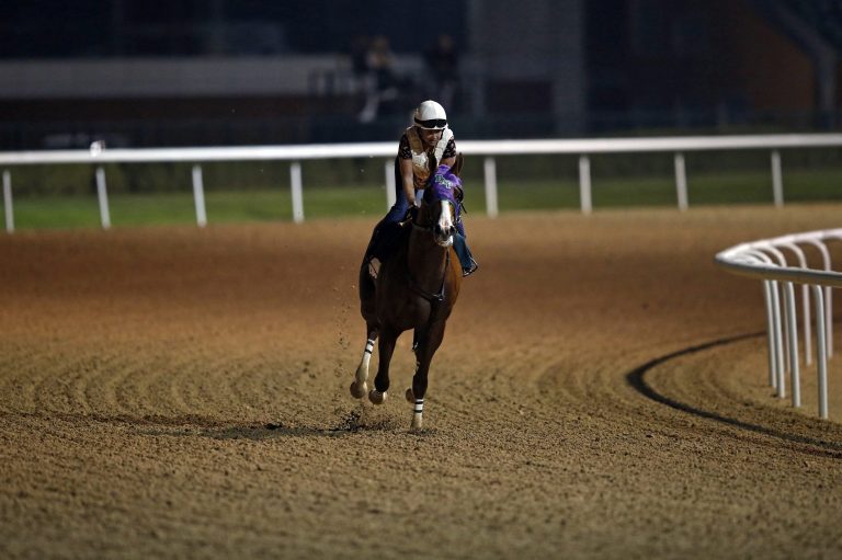 „US-Boys“ greifen in Meydan wohl groß an