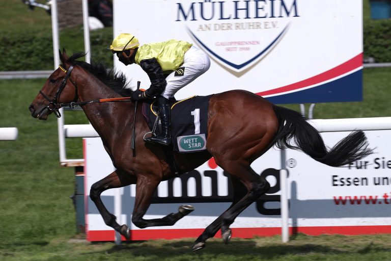 Calicos tadelloser Hindernis-Einstand