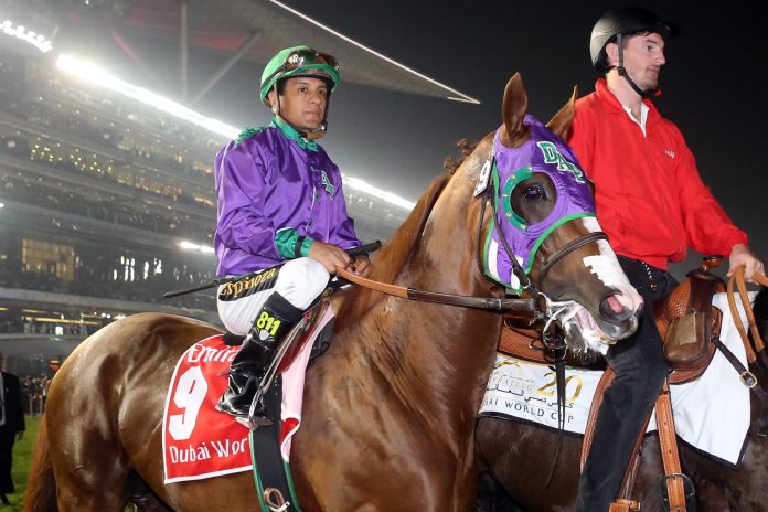 california_chrome_1