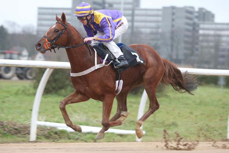 Call Me Number One die Nummer 1 im „Opener“