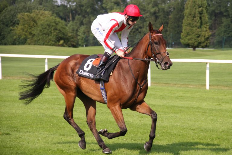 Lacy und Calyxa in Rom im Premio Lydia Tesio