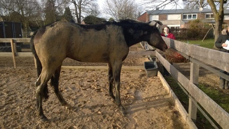 Im WDR TV: Zu Besuch bei Canterbury