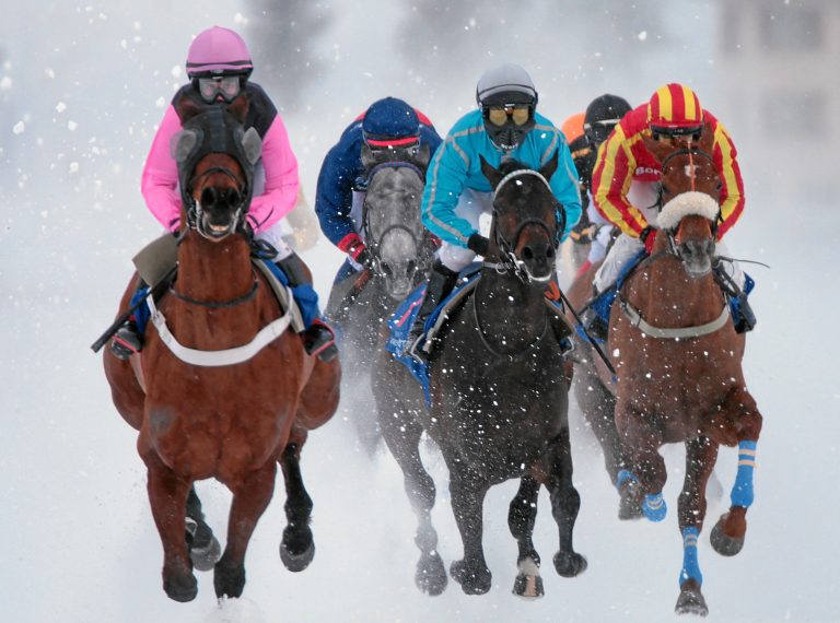 15 im Moritz-Grand Prix – Best reitet Favoriten