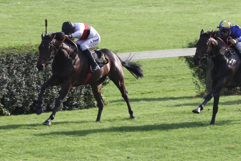 Besser gehts nicht: Capitano gewinnt gleich beim Debüt