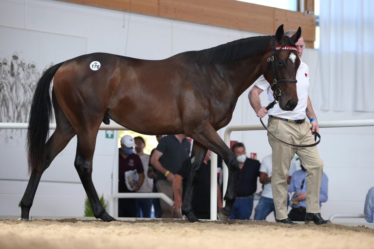 Godolphin kauft Ittlinger Frankel-Sohn