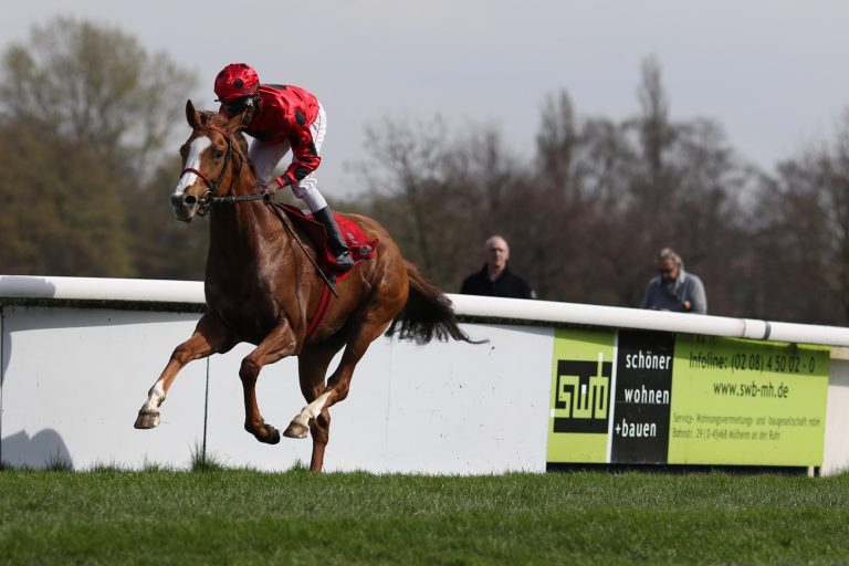 Cashman empfiehlt sich als Wöhler-Geheimwaffe