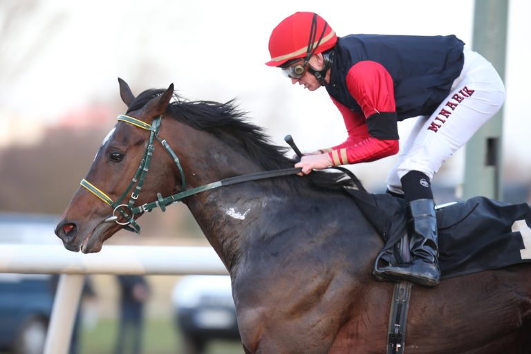 Das Finale – Wettchancen und Championats-Ehrung