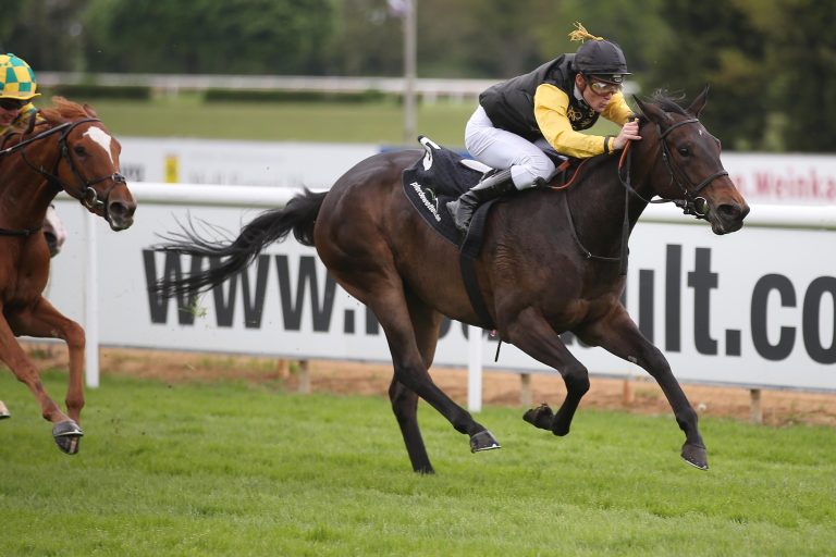 Doppelsieg für Brümmerhof bei den dreijährigen Stuten