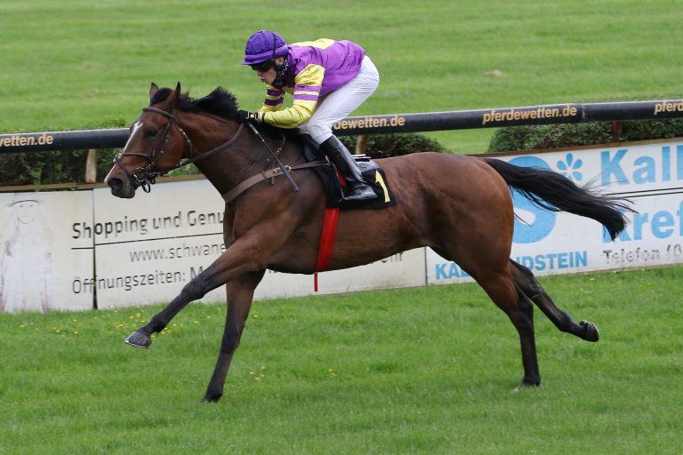 Dutch Master: Wenn der Falsche der Richtige ist