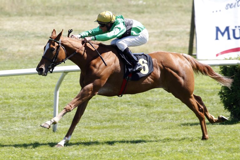 Frankreich: Negativer PCR-Test Pflicht