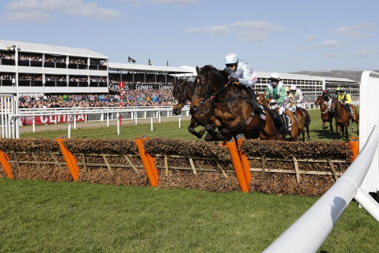 Dart-Stars lieber in Cheltenham als beim Dart-Turnier