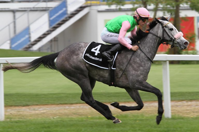 Cheshmeh holt sich Kondition für Katar