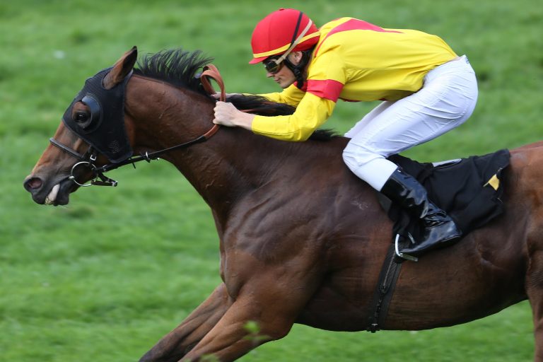 13-jähriger Cheviot schnell wie eh und je