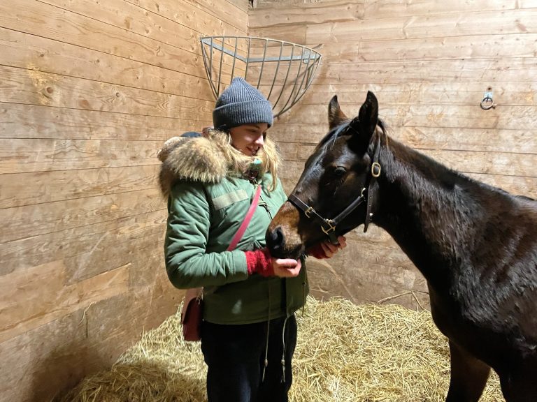 Fährhof stärkt Zuchtbasis: Drei Käufe bei Tattersalls