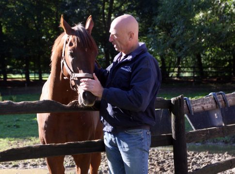 Recke-Neuzugang Aberfoyle siegt in Mons
