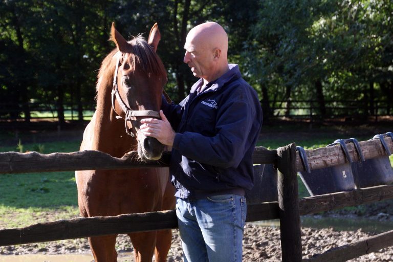 SW-Stallparade: Recke erscheint am Donnerstag