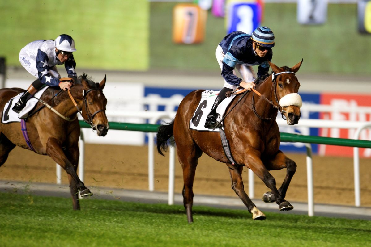 Cladocera macht in Meydan was sie will