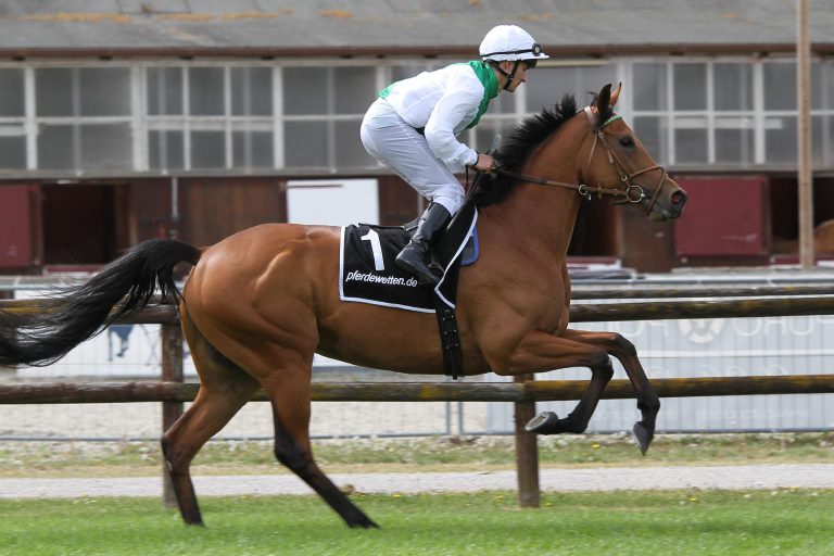 Salzburgs Clearly bringt satte 310.000 Euro!