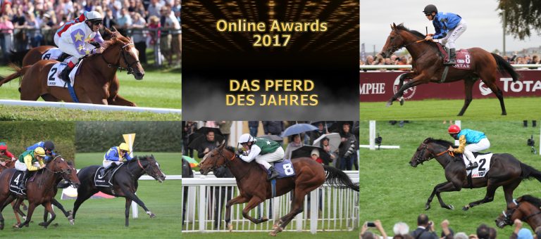 Online-Awards – Wählen Sie das Pferd des Jahres!
