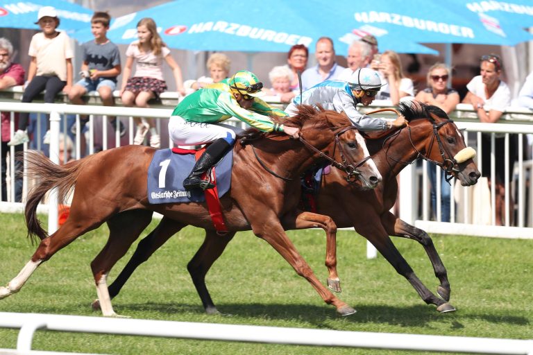 Colorado Sun mag die Harzburger Luft