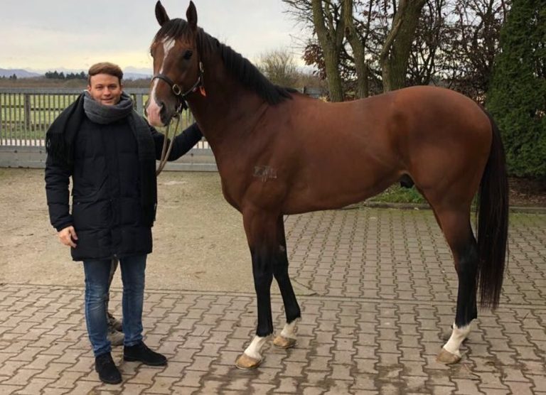 Karlshofer Deckhengst Counterattack verkauft