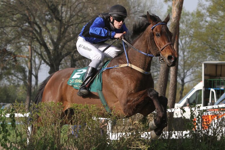 Coayique gewinnt Start-Ziel das Jagdrennen in Mannheim