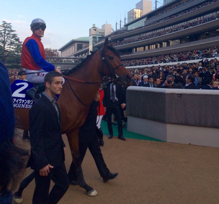 Für den Danedream Platz 125.000 Euro Belohnung