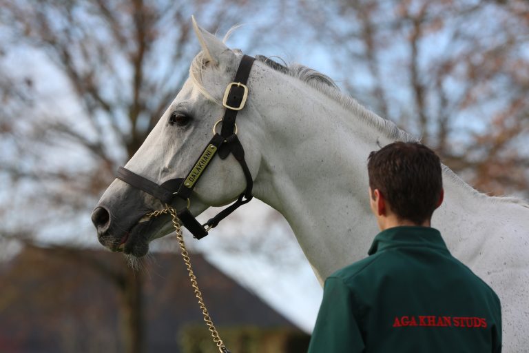 Dalakhani im Alter von 21 Jahren abgetreten