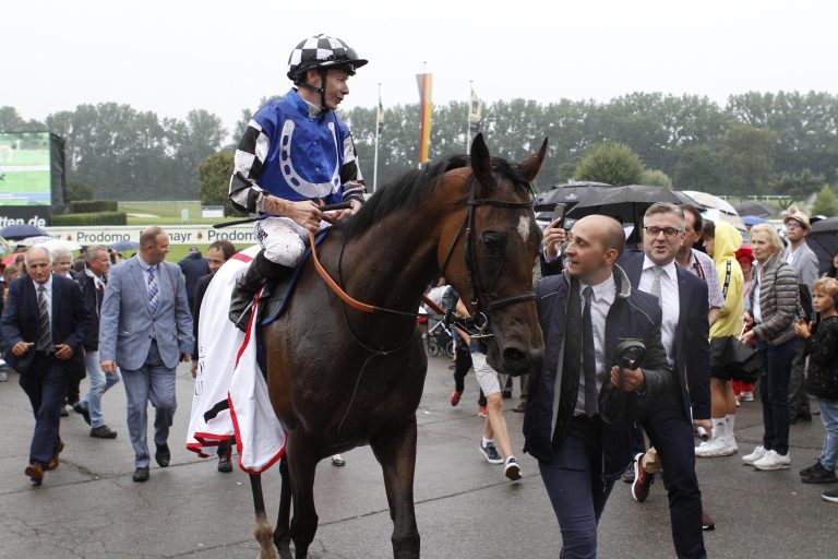 Danceteria verpasst Cox Plate-Vorbereitung