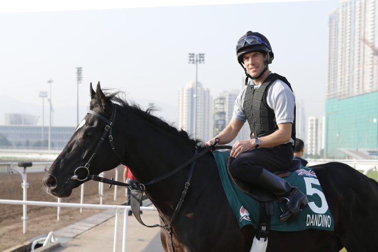 Dandino nicht im Caulfield Cup dabei – Araldos Startchancen steigen