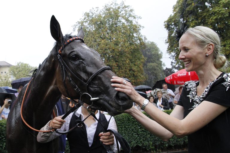 Für Danedream-Fans wird 2016 richtig spannend