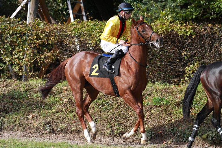 Daring Match am Dienstag im Prix de Seine-et-Oise