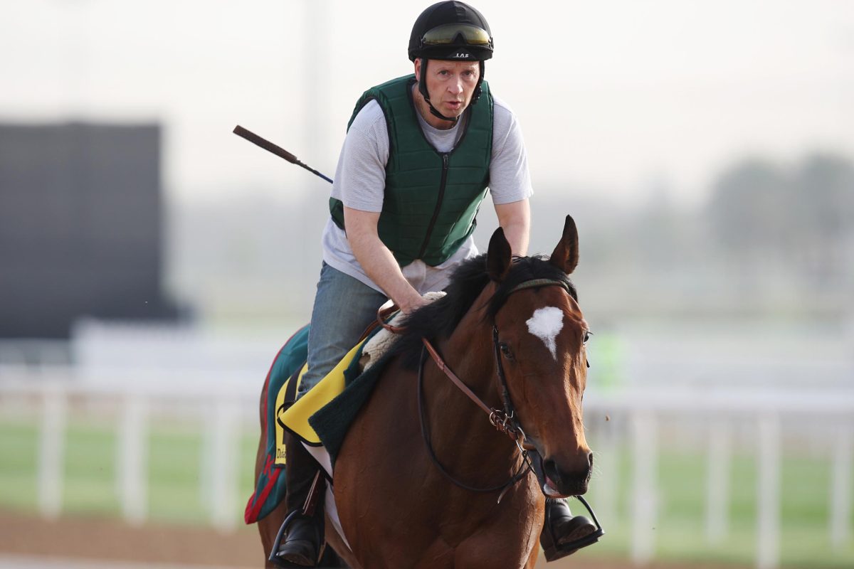 Ungeprüfter DarjinaSohn neuer Deckhengst