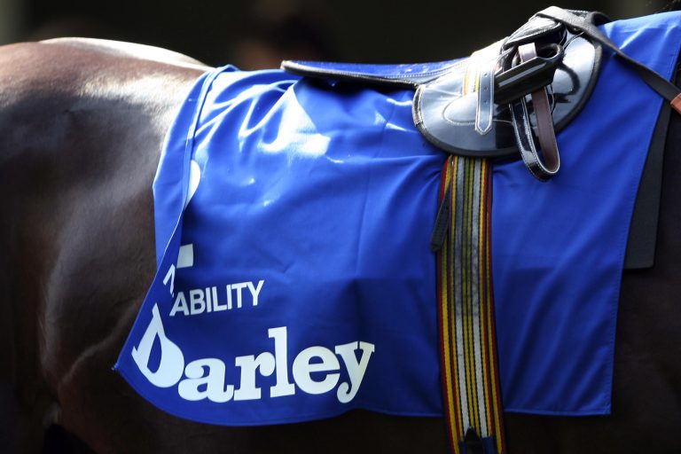 Verstärkung für Darley