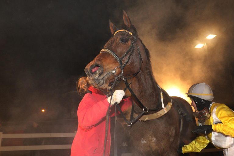 Auftakt 2017: Frauen-Power durch Rotering und Mattes