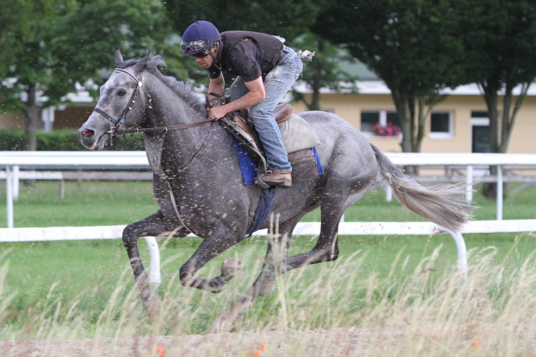 Dartagnan D‘Azur startet im Grand Prix de Vichy