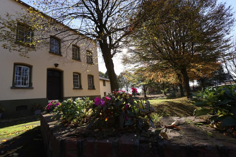 Das Gestüt Erftmühle