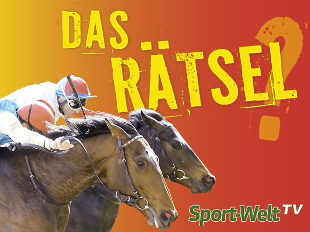 Das Rätsel Folge 23 – klare Sache mit 50 Prozent?