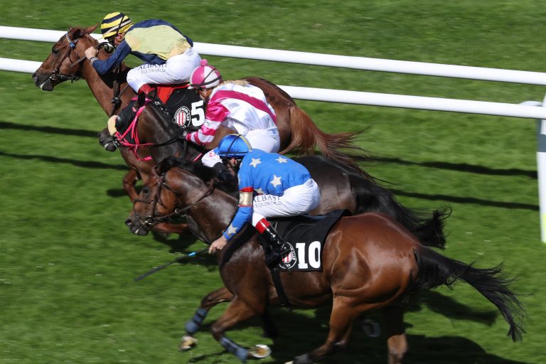 Dawn Calling erster Galoppsieger in Horn