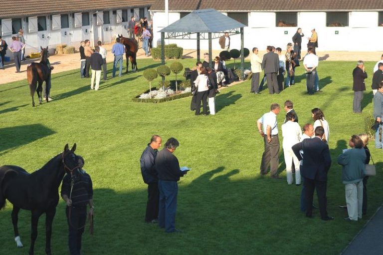 Arqana: Mixed Summer Sale verschoben