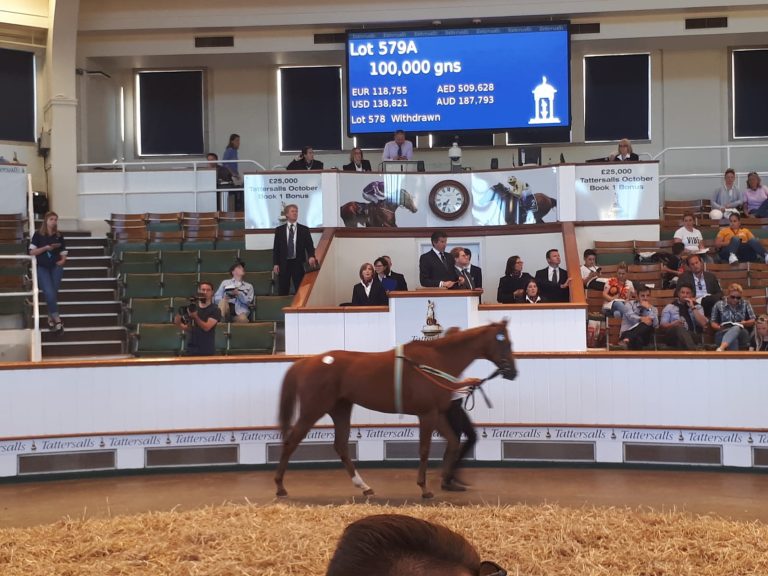 Eckhard Sauren schnappt sich Degas für 100.000 Guineas