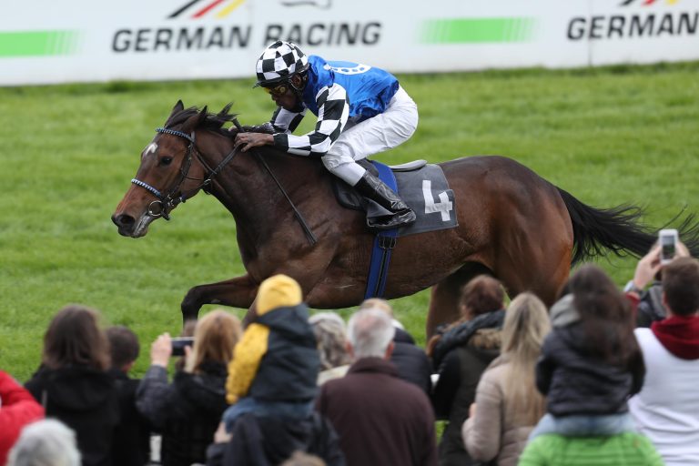 Delectation behält auch im Schwarzgold-Rennen ihre weiße Weste