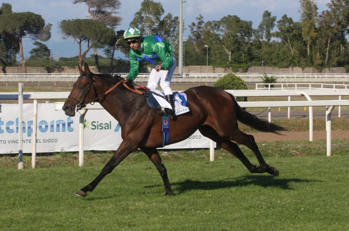 Darius Racings Ardakan gewinnt Derby Italiano