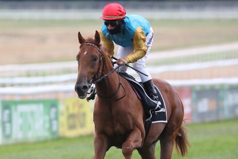 Favorit bei den Zweijährigen: Diakrid