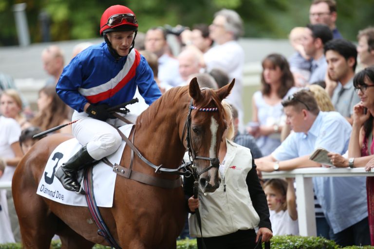 Erster Auslandsstart von Diamond Dove?