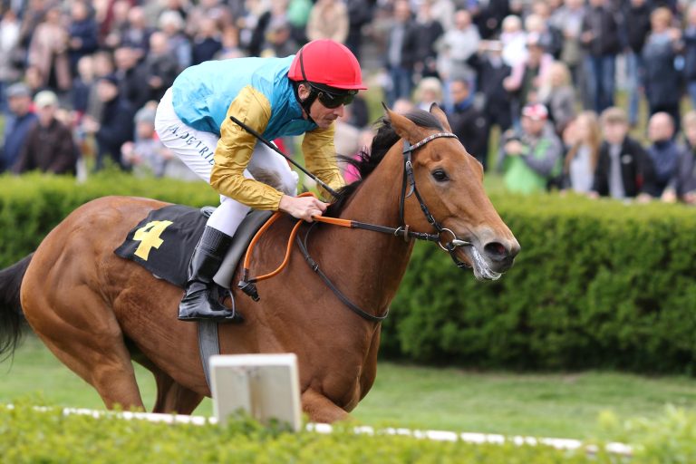 Röttgen punktet bei den dreijährigen Ladies